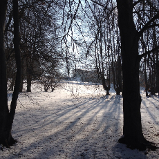   VALUTAZIONE: Immobile di Interesse Storico con Parco Secolare 