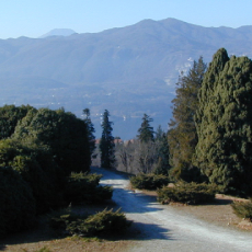   VALUTAZIONE: Immobile di Interesse Storico con Parco Secolare 