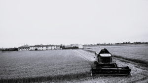 Conduzione tecnica Cascina Barciocchina
